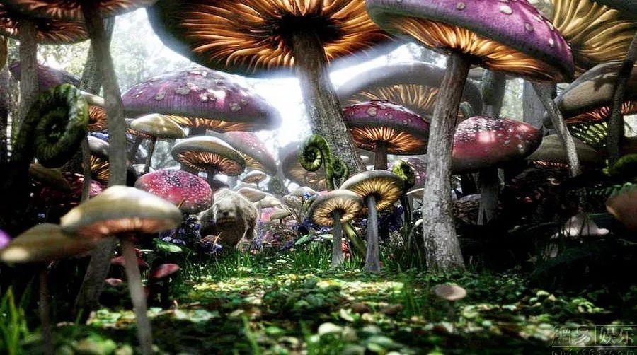 洁净迎新春！南城组织开展节前大清洁